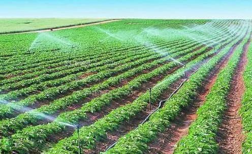 嗯啊啊操逼视频农田高 效节水灌溉